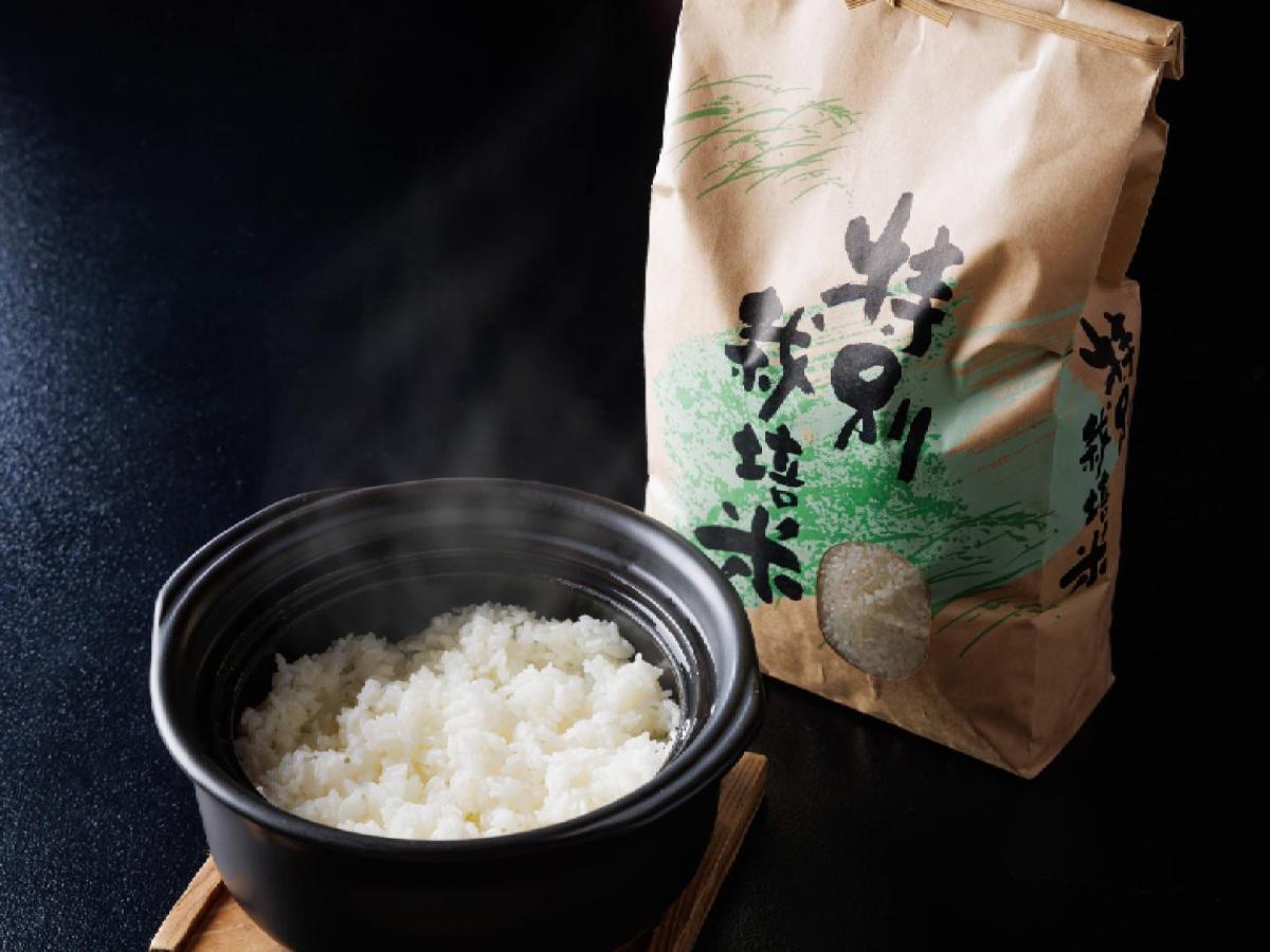 Ryokan Kigusuriya Nantan Экстерьер фото