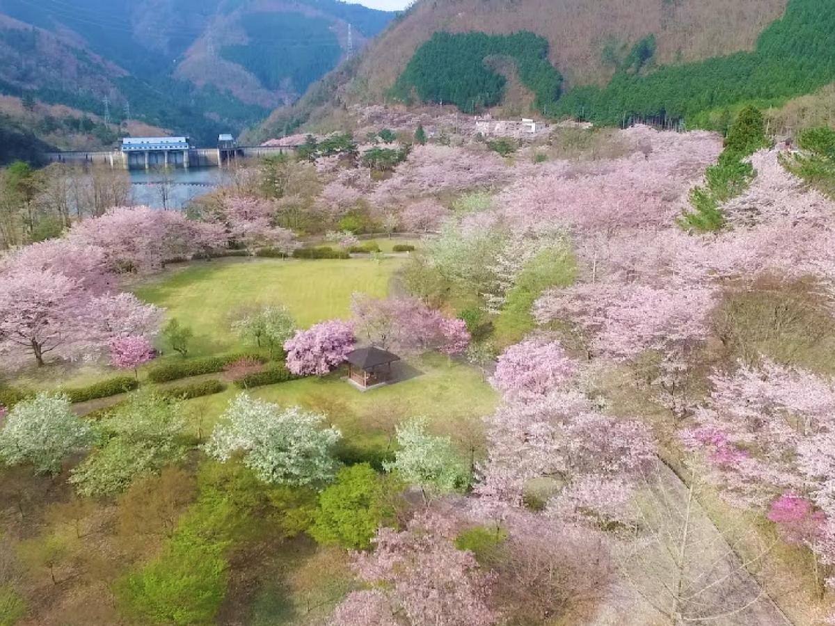 Ryokan Kigusuriya Nantan Экстерьер фото